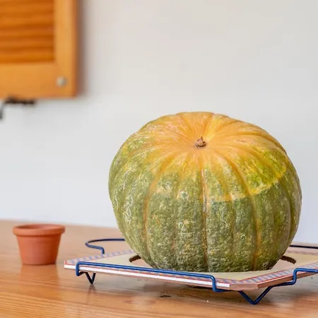 La Rafal ヴィラ *